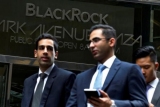 BlackRock:      -